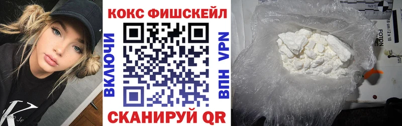 Cocaine FishScale  закладки  Дятьково 