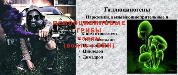 дмт Гусь-Хрустальный
