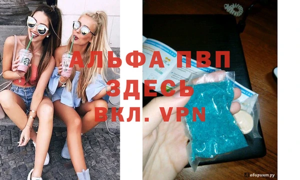 СК Надым