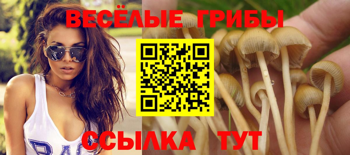 Галлюциногенные грибы Psilocybe  Галлюциногенные грибы MAGIC MUSHROOMS  Дятьково  Вход с VPN 