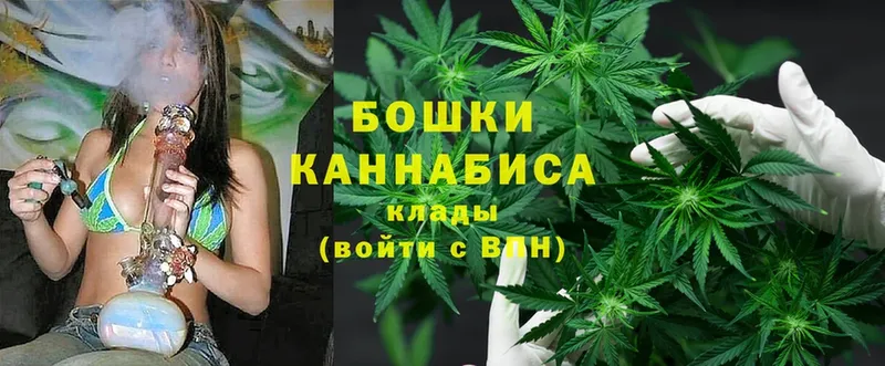 наркотики  Дятьково  МАРИХУАНА White Widow 